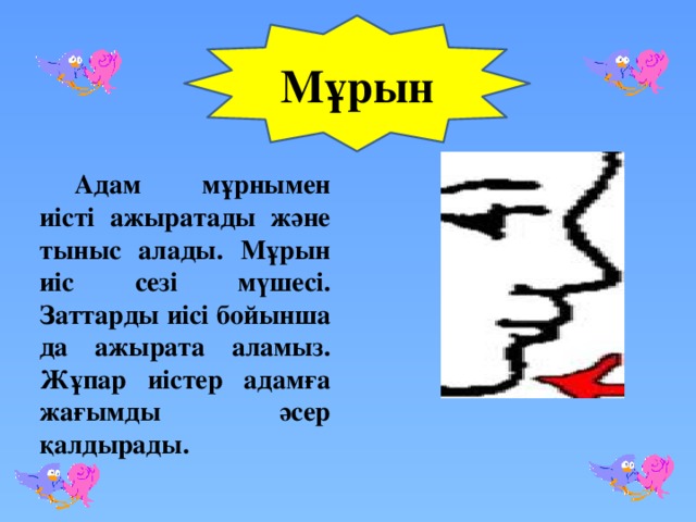 Мұрын  Адам мұрнымен иісті ажыратады және тыныс алады. Мұрын иіс сезі мүшесі. Заттарды иісі бойынша да ажырата аламыз. Жұпар иістер адамға жағымды әсер қалдырады.