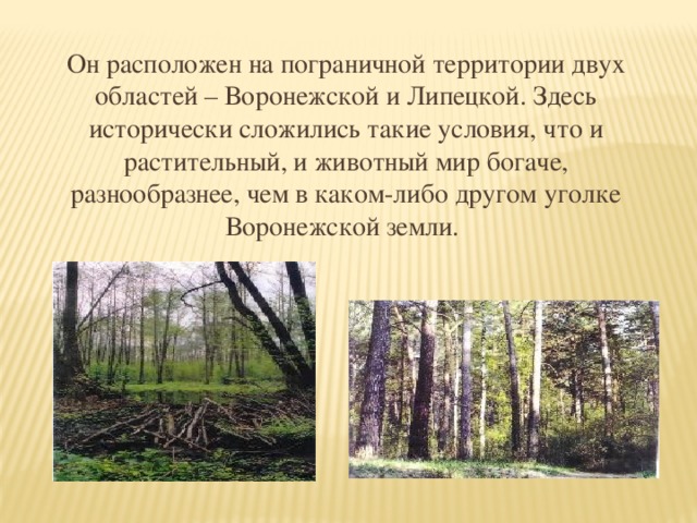 Он расположен на пограничной территории двух областей – Воронежской и Липецкой. Здесь исторически сложились такие условия, что и растительный, и животный мир богаче, разнообразнее, чем в каком-либо другом уголке Воронежской земли.