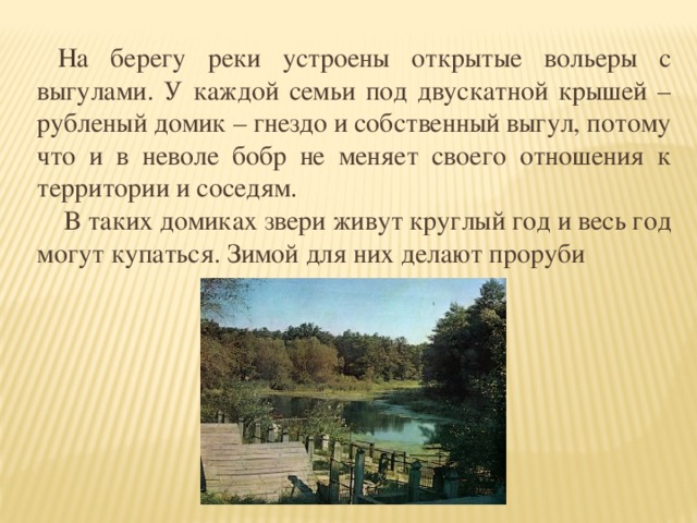 На берегу реки устроены открытые вольеры с выгулами. У каждой семьи под двускатной крышей – рубленый домик – гнездо и собственный выгул, потому что и в неволе бобр не меняет своего отношения к территории и соседям.  В таких домиках звери живут круглый год и весь год могут купаться. Зимой для них делают проруби