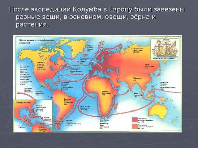 После экспедиции Колумба в Европу были завезены разные вещи, в основном, овощи, зёрна и растения.