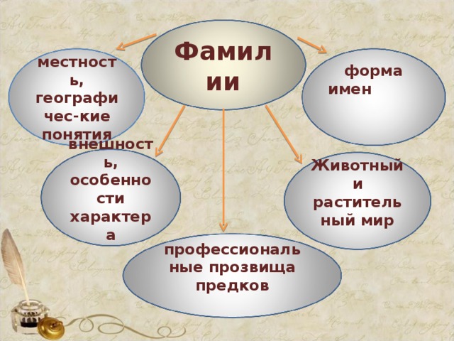 Фамилии  местность, географичес-кие понятия  форма имен  внешность, особенности характера  Животный и растительный мир  профессиональные прозвища предков