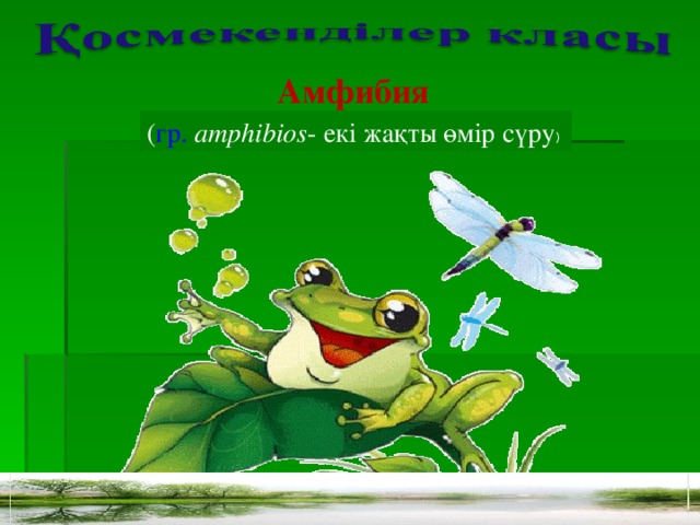 Амфибия ( гр.  amphibios - екі жақты өмір сүру )