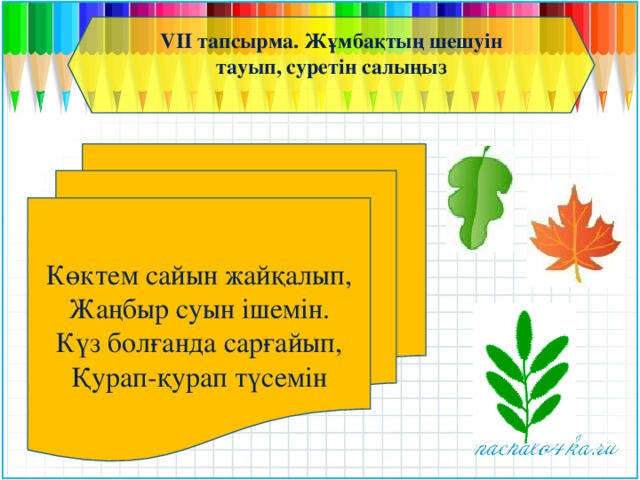 VII тапсырма. Жұмбақтың шешуін тауып, суретін салыңыз Көктем сайын жайқалып, Жаңбыр суын ішемін. Күз болғанда сарғайып, Қурап-қурап түсемін