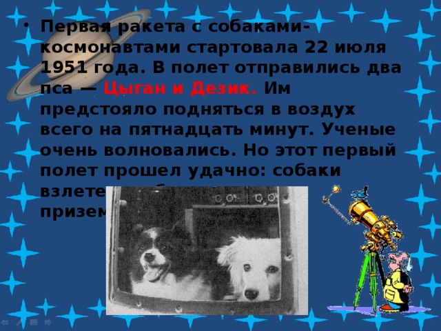 Первая ракета с собаками-космонавтами стартовала 22 июля 1951 года. В полет отправились два  пса — Цыган и Дезик. Им предстояло подняться в воздух всего на пятнадцать минут. Ученые очень волновались. Но этот первый полет прошел удачно: собаки взлетели и благополучно приземлились.