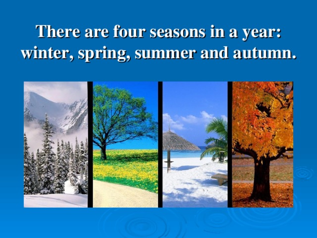 There are four seasons in a year: winter, spring, summer and autumn.