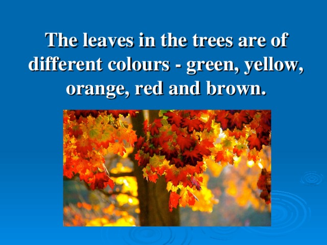 The leaves in the trees are of  different colours - green, yellow, orange, red and brown.