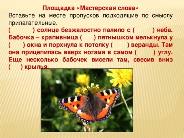 Площадка «Мастерская слова» Вставьте на месте пропусков подходящие по смыслу прилагательные. ( ) солнце безжалостно палило с ( ) неба. Бабочка – крапивница ( ) пятнышком мелькнула у ( ) окна и порхнула к потолку ( ) веранды. Там она прицепилась вверх ногами в самом ( ) углу. Еще несколько бабочек висели там, свесив вниз ( ) крылья.