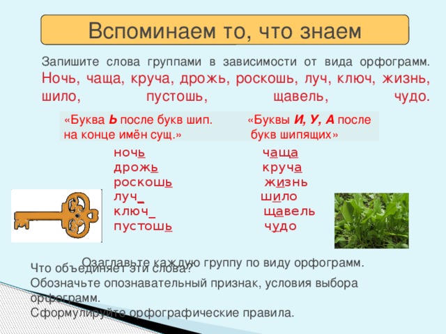 Вспоминаем то, что знаем Запишите слова группами в зависимости от вида орфограмм.  Ночь, чаща, круча, дрожь, роскошь, луч, ключ, жизнь, шило, пустошь, щавель, чудо.   Проверьте себя «Буква Ь после букв шип. «Буквы И, У, А после  на конце имён сущ.» букв шипящих» ноч ь ч а щ а дрож ь круч а роскош ь ж и знь луч _ ш и ло ключ_ щ а вель пустош ь ч у до Озаглавьте каждую группу по виду орфограмм. Что объединяет эти слова?  Обозначьте опознавательный признак, условия выбора орфограмм.  Сформулируйте орфографические правила.