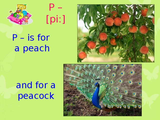 P – [pi:] P – is for a peach and for a peacock