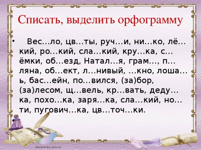 Подчеркнутые орфограммы