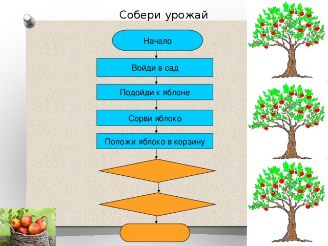 История одной яблоньки комплексная работа 2 класс. Алгоритм сбор яблок. Собери урожай. Алгоритм собираем урожай. Алгоритм сбора яблок в саду.