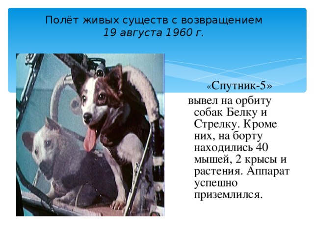 Полёт живых существ с возвращением  19 августа 1960 г.   « Спутник-5»  вывел на орбиту собак Белку и Стрелку. Кроме них, на борту находились 40 мышей, 2 крысы и растения. Аппарат успешно приземлился.