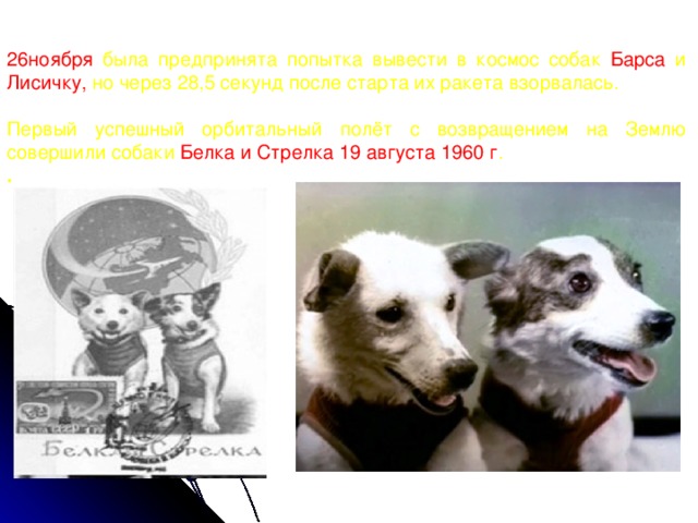 26ноября была предпринята попытка вывести в космос собак Барса и Лисичку, но через 28,5 секунд после старта их ракета взорвалась. Первый успешный орбитальный полёт с возвращением на Землю совершили собаки Белка и Стрелка 19 августа 1960 г . .