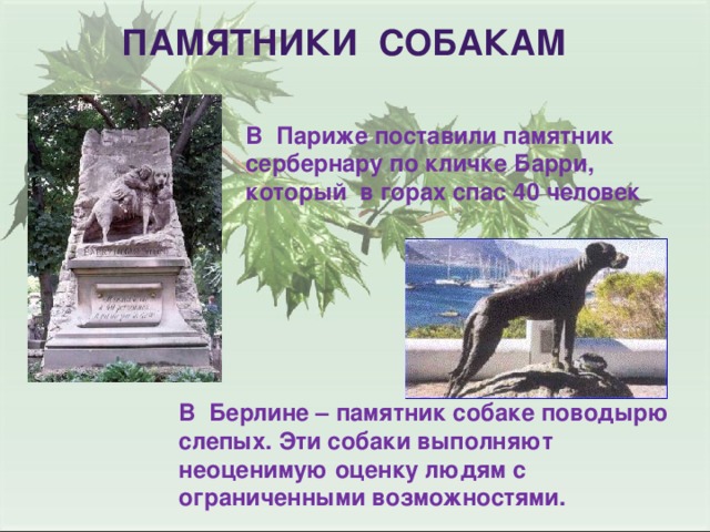 Памятники собакам презентация