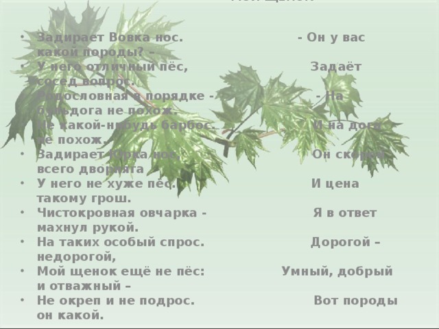 МОЙ ЩЕНОК   Задирает Вовка нос. - Он у вас какой породы? – У него отличный пёс, Задаёт сосед вопрос. Родословная в порядке - - На бульдога не похож. Не какой-нибудь барбос. И на дога не похож. Задирает Юрка нос, Он скорей всего дворняга У него не хуже пёс. И цена такому грош. Чистокровная овчарка - Я в ответ махнул рукой. На таких особый спрос. Дорогой – недорогой, Мой щенок ещё не пёс: Умный, добрый и отважный – Не окреп и не подрос. Вот породы он какой.