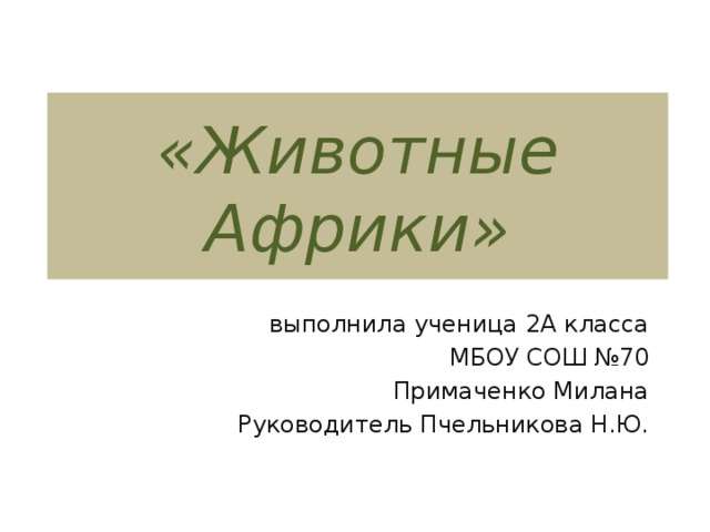 «Животные Африки» выполнила ученица 2А класса МБОУ СОШ №70 Примаченко Милана Руководитель Пчельникова Н.Ю.