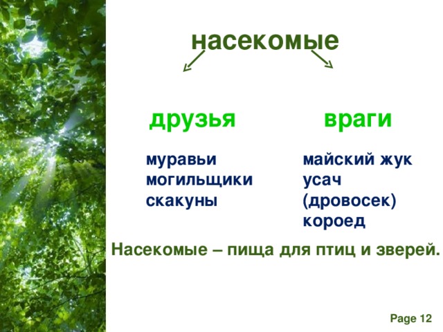 насекомые друзья  враги муравьи могильщики скакуны майский жук усач (дровосек) короед Насекомые – пища для птиц и зверей.