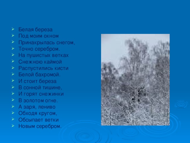 Белая береза Под моим окном Принакрылась снегом, Точно серебром. На пушистых ветках Снежною каймой Распустились кисти Белой бахромой. И стоит береза В сонной тишине, И горят снежинки В золотом огне. А заря, лениво Обходя кругом, Обсыпает ветки Новым серебром.