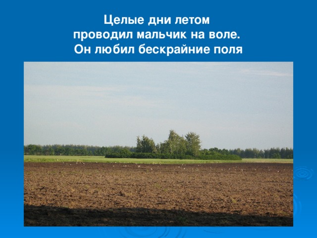 Целые дни летом  проводил мальчик на воле.  Он любил бескрайние поля