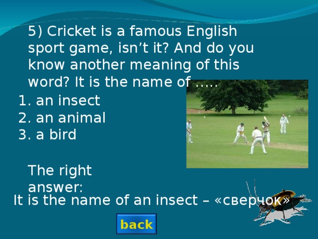 5) Cricket is a famous English sport game, isn’t it? And do you know another meaning of this word? It is the name of ….. an insect an animal a bird The right answer: It is the name of an insect – «сверчок» back