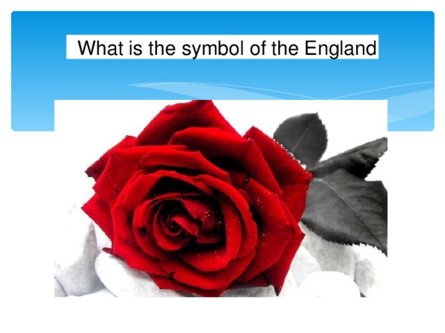 What is the symbol of the England