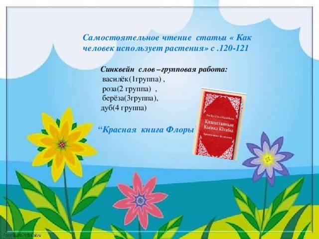 Самостоятельное чтение статьи « Как человек использует растения» с .120-121 Синквейн слов –групповая работа:  василёк(1группа) ,  роза(2 группа) ,  берёза(3группа), дуб(4 группа) “ Красная книга Флоры”