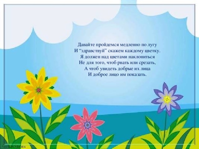 Давайте пройдемся медленно по лугу  И “здравствуй” скажем каждому цветку.  Я должен над цветами наклониться  Не для того, чтоб рвать или срезать,  А чтоб увидеть добрые их лица  И доброе лицо им показать.