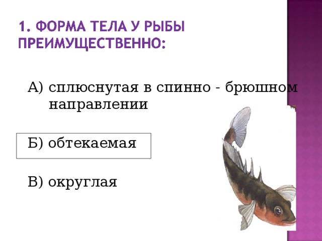 ЗАКРЕПЛЕНИЕ: Какая форма тела у рыбы?  2. Чем и как покрыта кожа рыбы?     3. В чем разница в окраске спинной и  брюшной стороны тела рыбы? 4. Изучите предупреждающую окраску тела рыбы Чем она отличается от покровительственной? 5. Определите тип окраски рыб :  А) Б)