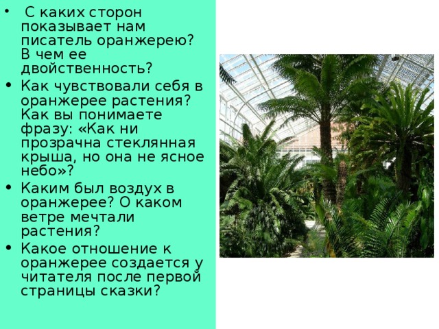   С каких сторон показывает нам писатель оранжерею? В чем ее двойственность? Как чувствовали себя в оранжерее растения? Как вы понимаете фразу: «Как ни прозрачна стеклянная крыша, но она не ясное небо»? Каким был воздух в оранжерее? О каком ветре мечтали растения? Какое отношение к оранжерее создается у читателя после первой страницы сказки?