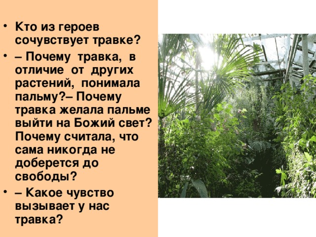 Кто из героев сочувствует травке? –  Почему травка, в отличие от других растений, понимала пальму?– Почему травка желала пальме выйти на Божий свет? Почему считала, что сама никогда не доберется до свободы? –  Какое чувство вызывает у нас травка?