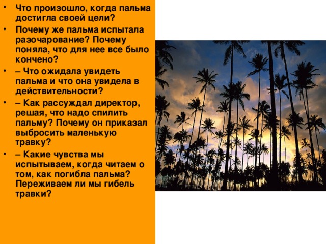 Что произошло, когда пальма достигла своей цели? Почему же пальма испытала разочарование? Почему поняла, что для нее все было кончено? –  Что ожидала увидеть пальма и что она увидела в действительности? –  Как рассуждал директор, решая, что надо спилить пальму? Почему он приказал выбросить маленькую травку? –  Какие чувства мы испытываем, когда читаем о том, как погибла пальма? Переживаем ли мы гибель травки?