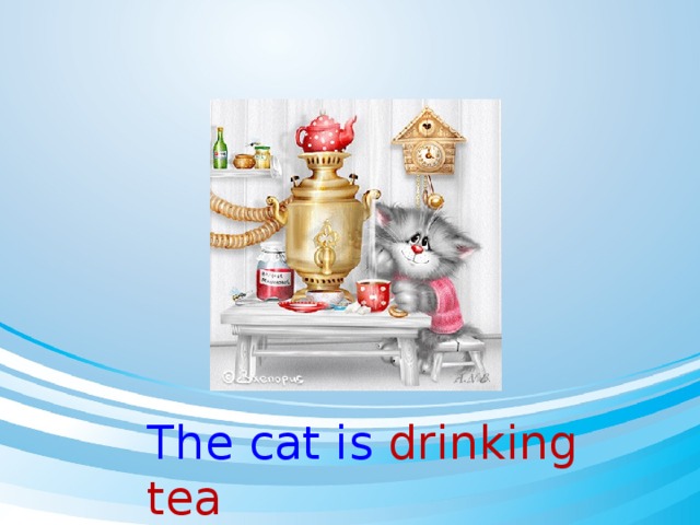 The cat is drinking tea