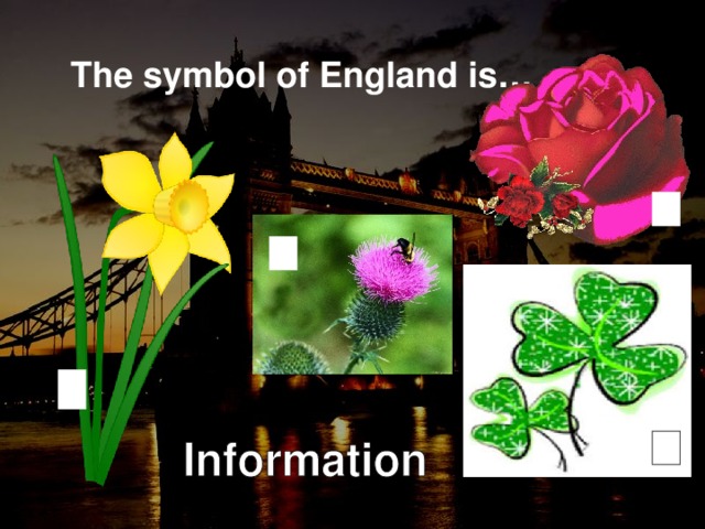 The symbol of England is…