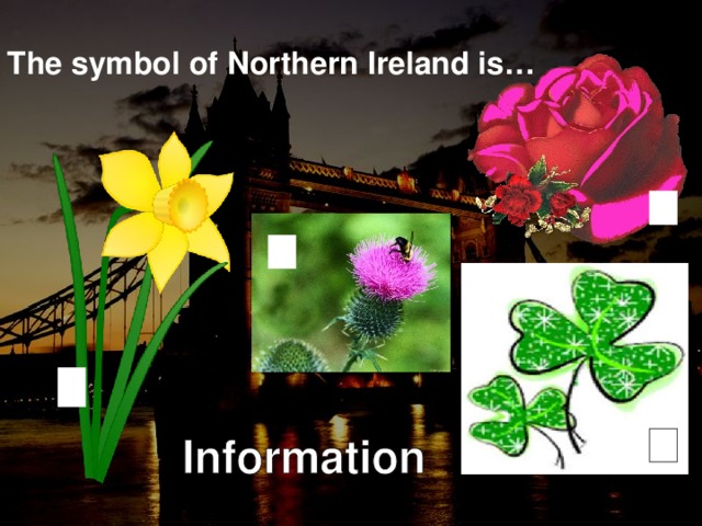 The symbol of Northern Ireland is…