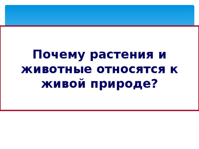 Почему растения и животные относятся к живой природе?