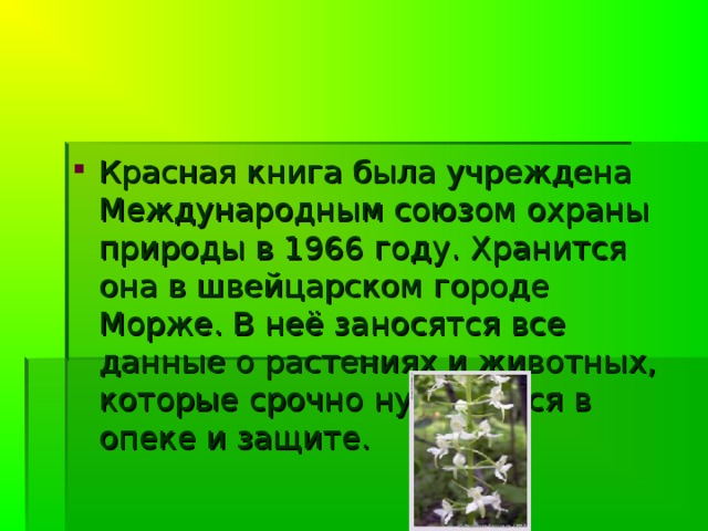 Эта книга называется так потому, что красный цвет –означает сигнал опасности. Он заставляет своей яркостью всех обратить внимание на указанную опасность, в данном случае предостерегает людей о возможных тяжёлых последствиях, которые произойдут с гибелью целых видов растений и животных.