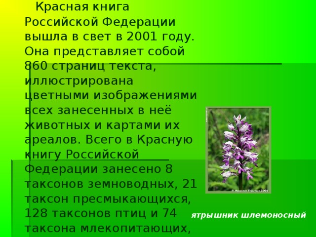 После становления России как независимого государства и реформы всей системы государственного управления в области охраны окружающей среды встал вопрос о подготовке издания Красной книги Российской Федерации на новой политической и административной основе. За научную основу Красной книги России была взята Красная книга РСФСР, хотя речь шла о принципиально новом издании. Работа по созданию Красной книги России была возложена на вновь созданное Министерство природных ресурсов и экологии РФ. В 1992 году при министерстве была создана Комиссия по редким и исчезающим видам животных и растений, к работе которой привлекли ведущих специалистов в области охраны редких видов из различных учреждений Москвы и других городов. 