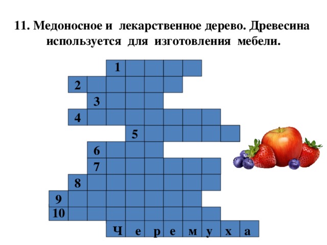 11. Медоносное и лекарственное дерево. Древесина используется для изготовления мебели. 1  2 3 4 5 6 7  8 9 10                Ч е р е м у х а