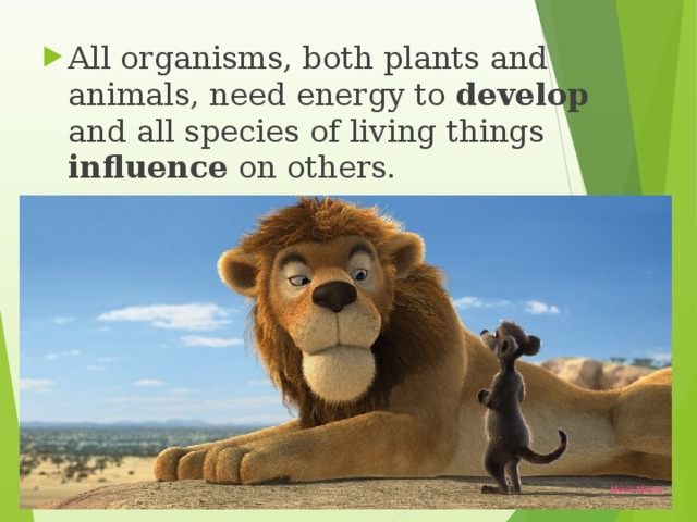 All organisms, both plants and animals, need energy to develop and all species of living things influence on others.