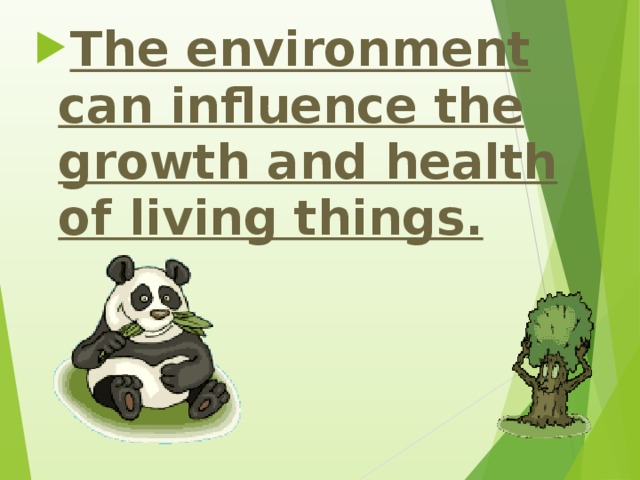 The environment can influence the growth and health of living things.