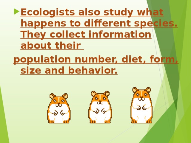 Ecologists also study what happens to different species. They collect information about their population number, diet, form, size and behavior.