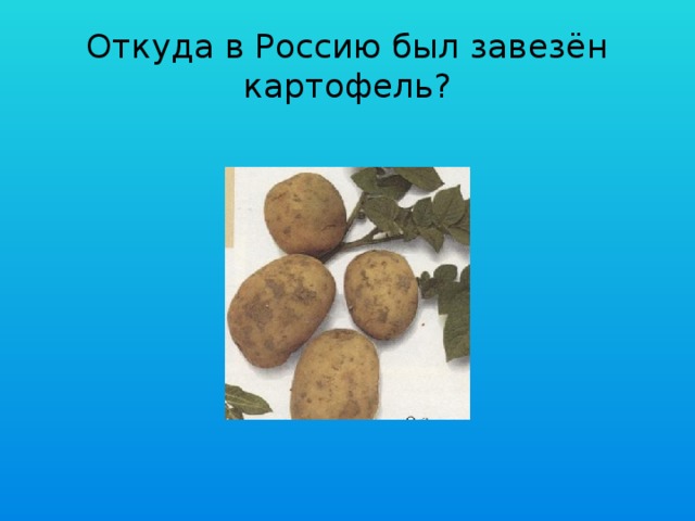 Откуда в Россию был завезён картофель?