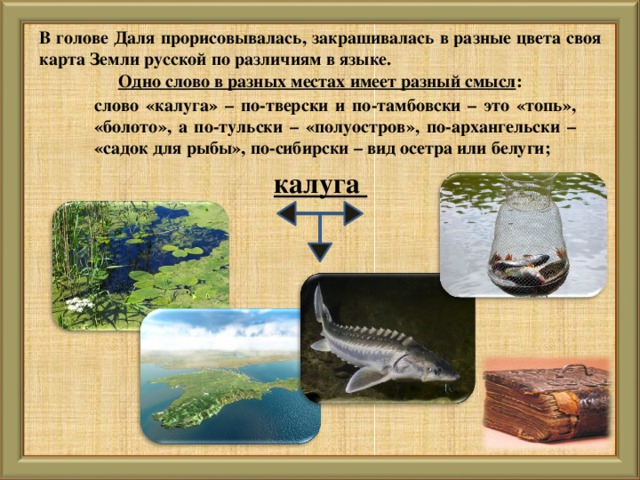 В голове Даля прорисовывалась, закрашивалась в разные цвета своя карта Земли русской по различиям в языке. Одно слово в разных местах имеет разный смысл : слово «калуга» – по-тверски и по-тамбовски – это «топь», «болото», а по-тульски – «полуостров», по-архангельски – «садок для рыбы», по-сибирски – вид осетра или белуги; калуга