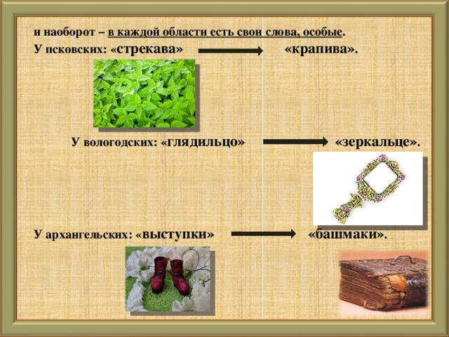 и наоборот – в каждой области есть свои слова, особые . У псковских: « стрекава» «крапива» .       У вологодских: « глядильцо» «зеркальце» .      У архангельских: « выступки» «башмаки» .