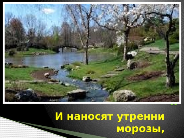 И наносят утренни морозы,