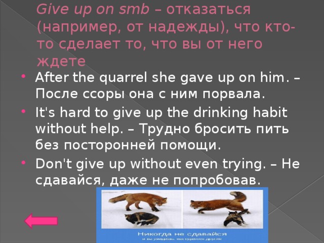 Give up on smb – отказаться (например, от надежды), что кто-то сделает то, что вы от него ждете