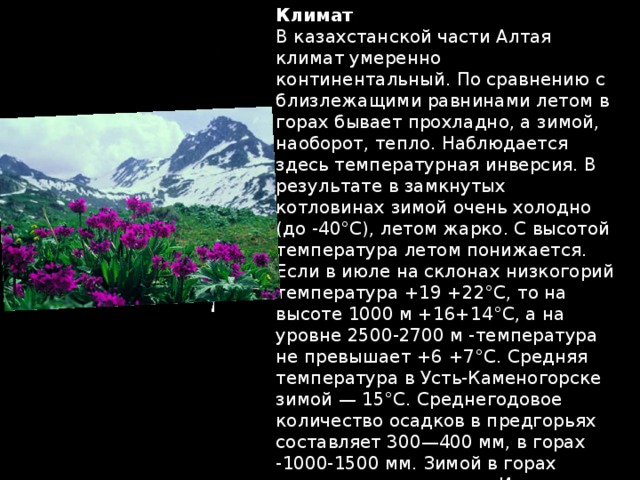 Климат  В казахстанской части Алтая климат умеренно континентальный. По сравнению с близлежащими равнинами летом в горах бывает прохладно, а зимой, наоборот, тепло. Наблюдается здесь температурная инверсия. В результате в замкнутых котловинах зимой очень холодно (до -40°С), летом жарко. С высотой температура летом понижается. Если в июле на склонах низкогорий температура +19 +22°С, то на высоте 1000 м +16+14°С, а на уровне 2500-2700 м -температура не превышает +6 +7°С. Средняя температура в Усть-Каменогорске зимой — 15°С. Среднегодовое количество осадков в предгорьях составляет 300—400 мм, в горах -1000-1500 мм. Зимой в горах выпадает много снега. Иногда его толщина достигает 1—3 метров. А в замкнутых котловинах выпадает незначительное количество снега. Часто наблюдаются снежные лавины, селевые потоки.