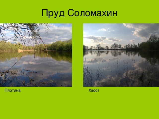 Презентация на тему: "Водоёмы нашего края. к уроку "Окружающий мир" Из опыта раб