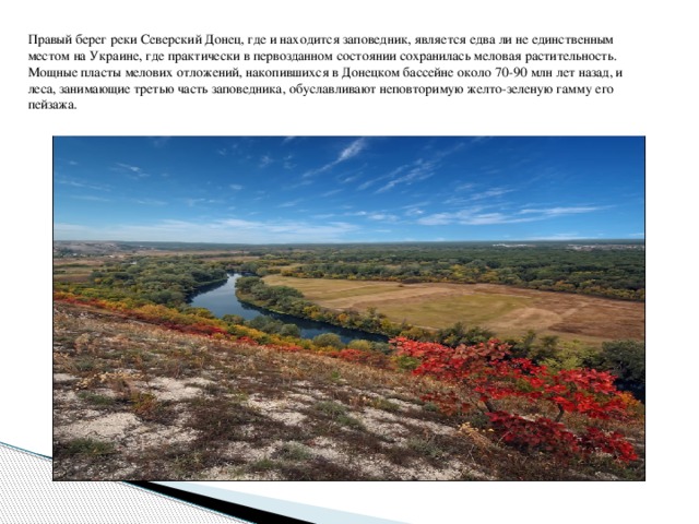 Правый берег реки Северский Донец, где и находится заповедник, является едва ли не единственным местом на Украине, где практически в первозданном состоянии сохранилась меловая растительность.  Мощные пласты мелових отложений, накопившихся в Донецком бассейне около 70-90 млн лет назад, и леса, занимающие третью часть заповедника, обуславливают неповторимую желто-зеленую гамму его пейзажа.