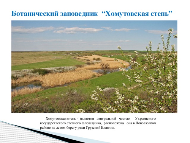 Ботанический заповедник “Хомутовская степь”  Хомутовская степь - является центральной частью Украинского государстветого степного заповедника, расположена она в Новоазовком районе на левом берегу реки Грузский Еланчик.